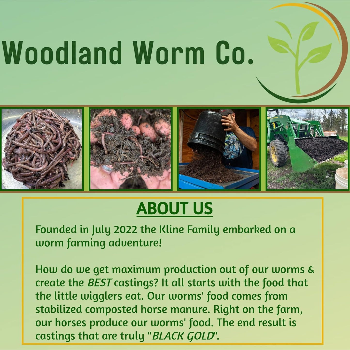 Mealworm Bedding and Feedstock