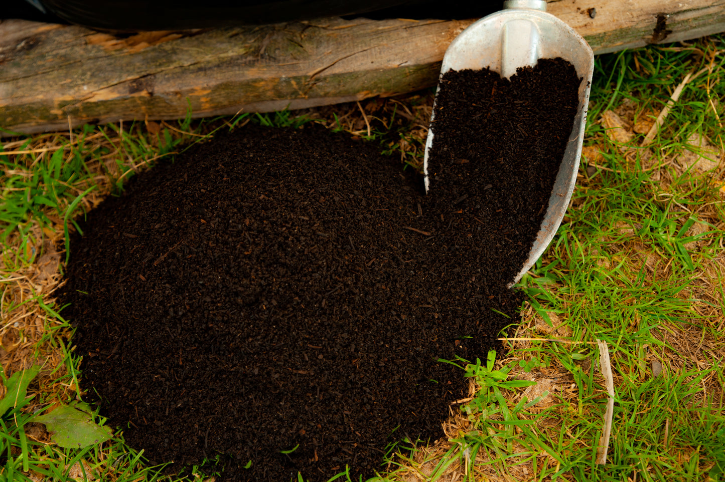 Worm Castings