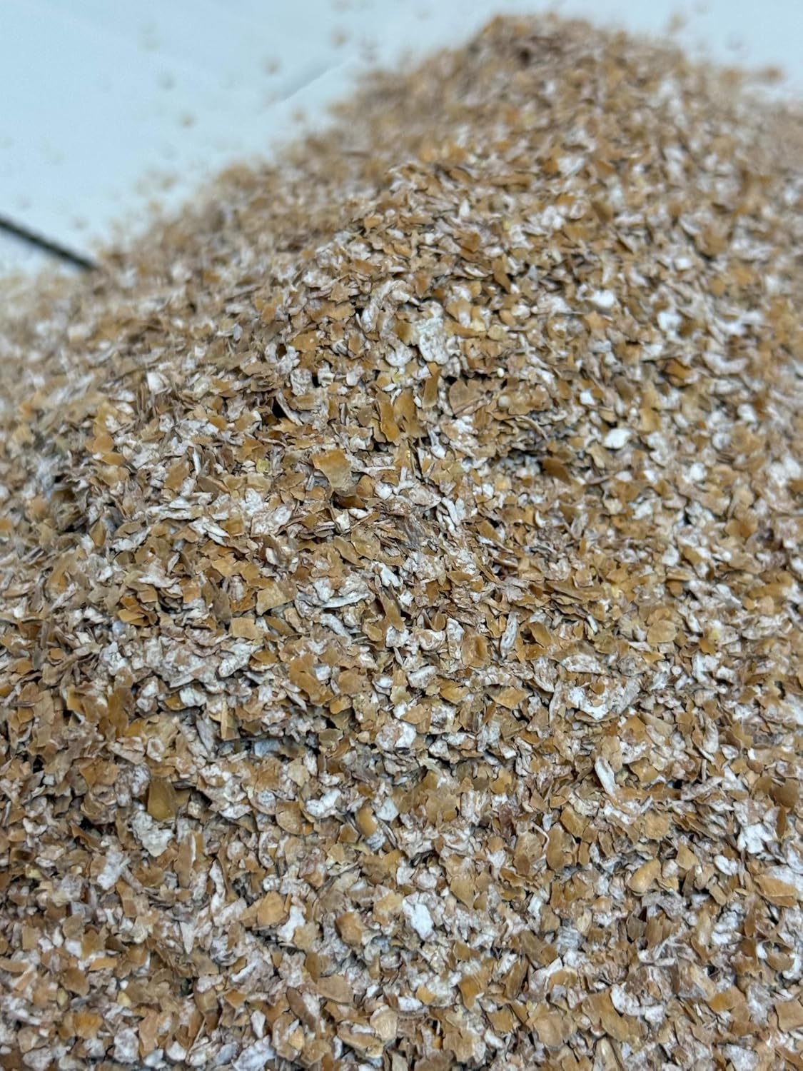 Mealworm Bedding and Feedstock