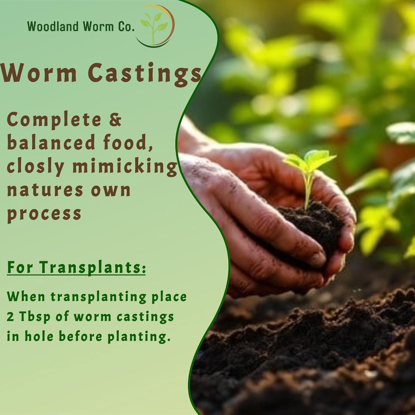 Worm Castings