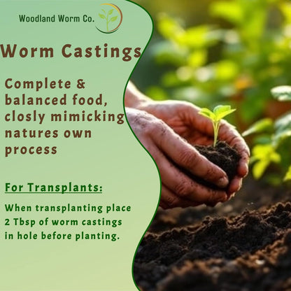 Worm Castings